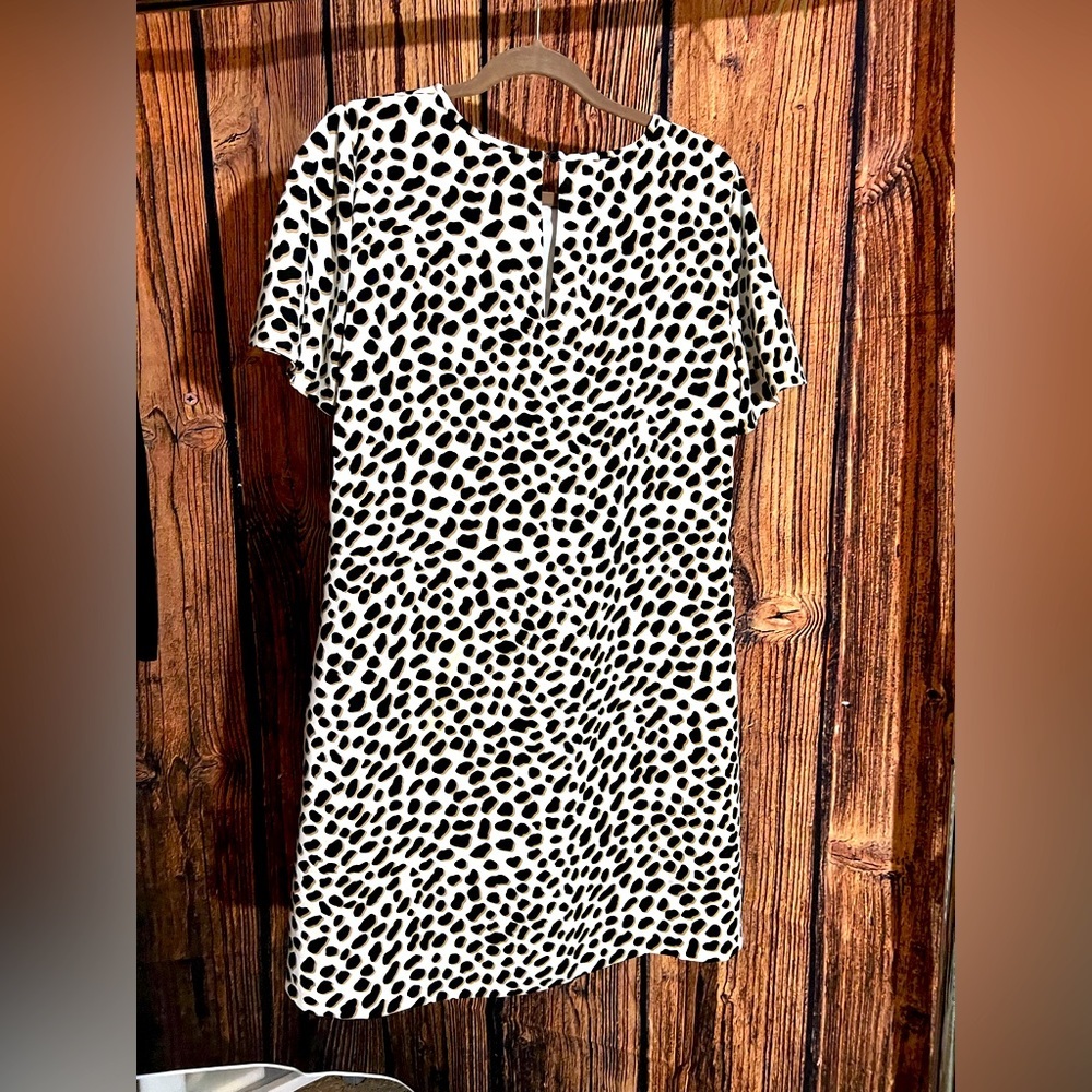 Ann Taylor Dress